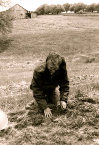 Planting of the 7000 French Hybrid Root Stock In Ohio—1969-70